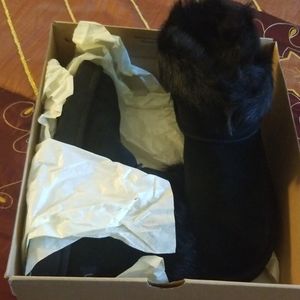 Ugg Boots never worn, brand new in box